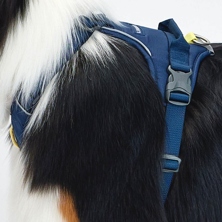 ※予約販売【munikund】TREKTAIL Harness - Navy ｜犬用ハーネス