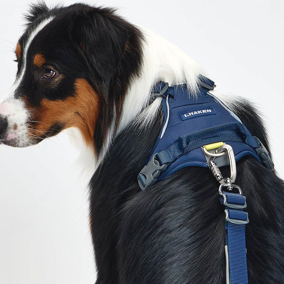 ※予約販売【munikund】TREKTAIL Harness - Navy ｜犬用ハーネス