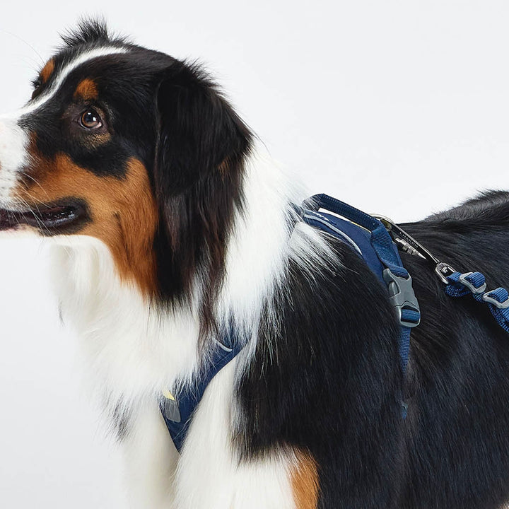 ※予約販売【munikund】TREKTAIL Harness - Navy ｜犬用ハーネス