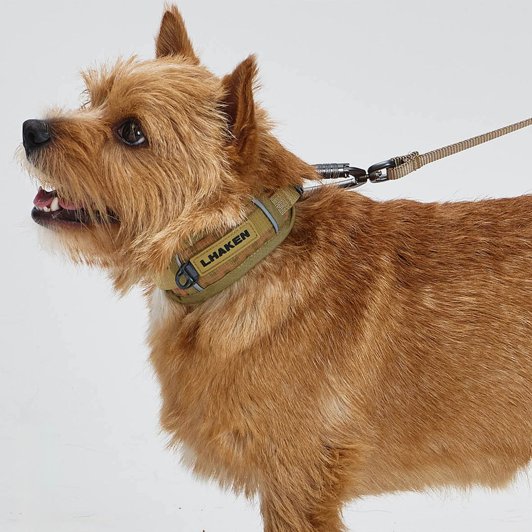 ※予約販売【munikund】TREKTAIL Collar - Beige