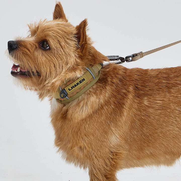 ※予約販売【munikund】TREKTAIL Collar - Beige