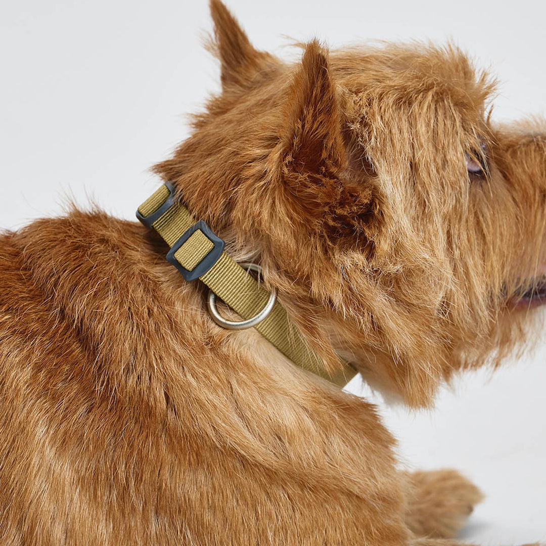 ※予約販売【munikund】TREKTAIL Collar - Beige
