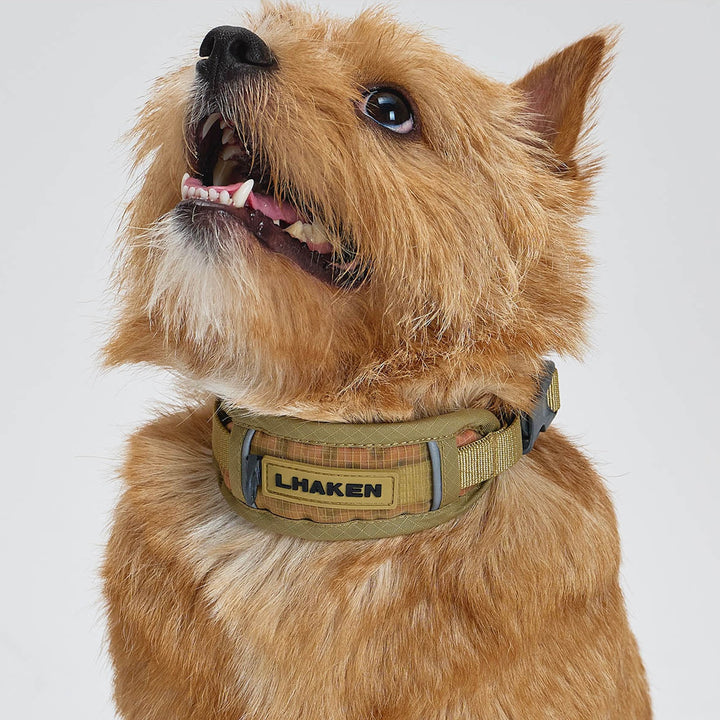 ※予約販売【munikund】TREKTAIL Collar - Beige
