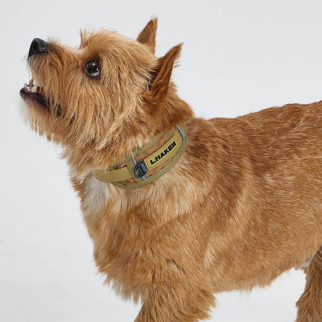 ※予約販売【munikund】TREKTAIL Collar - Beige