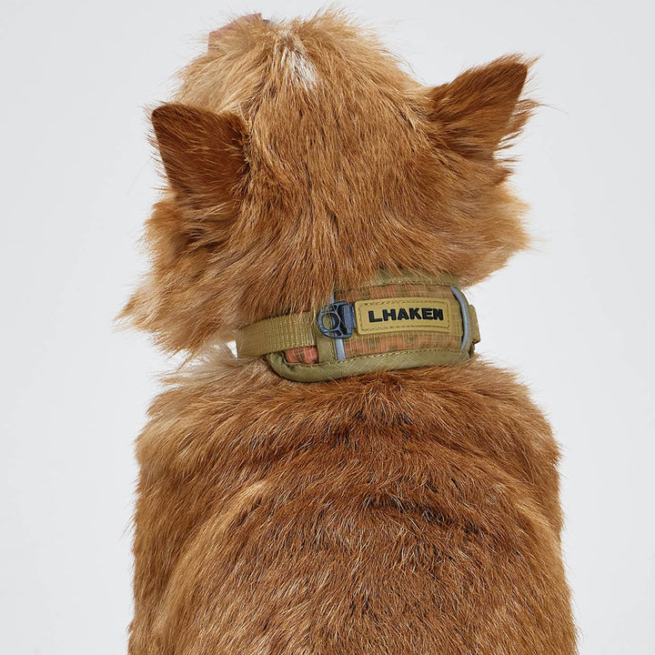 ※予約販売【munikund】TREKTAIL Collar - Beige