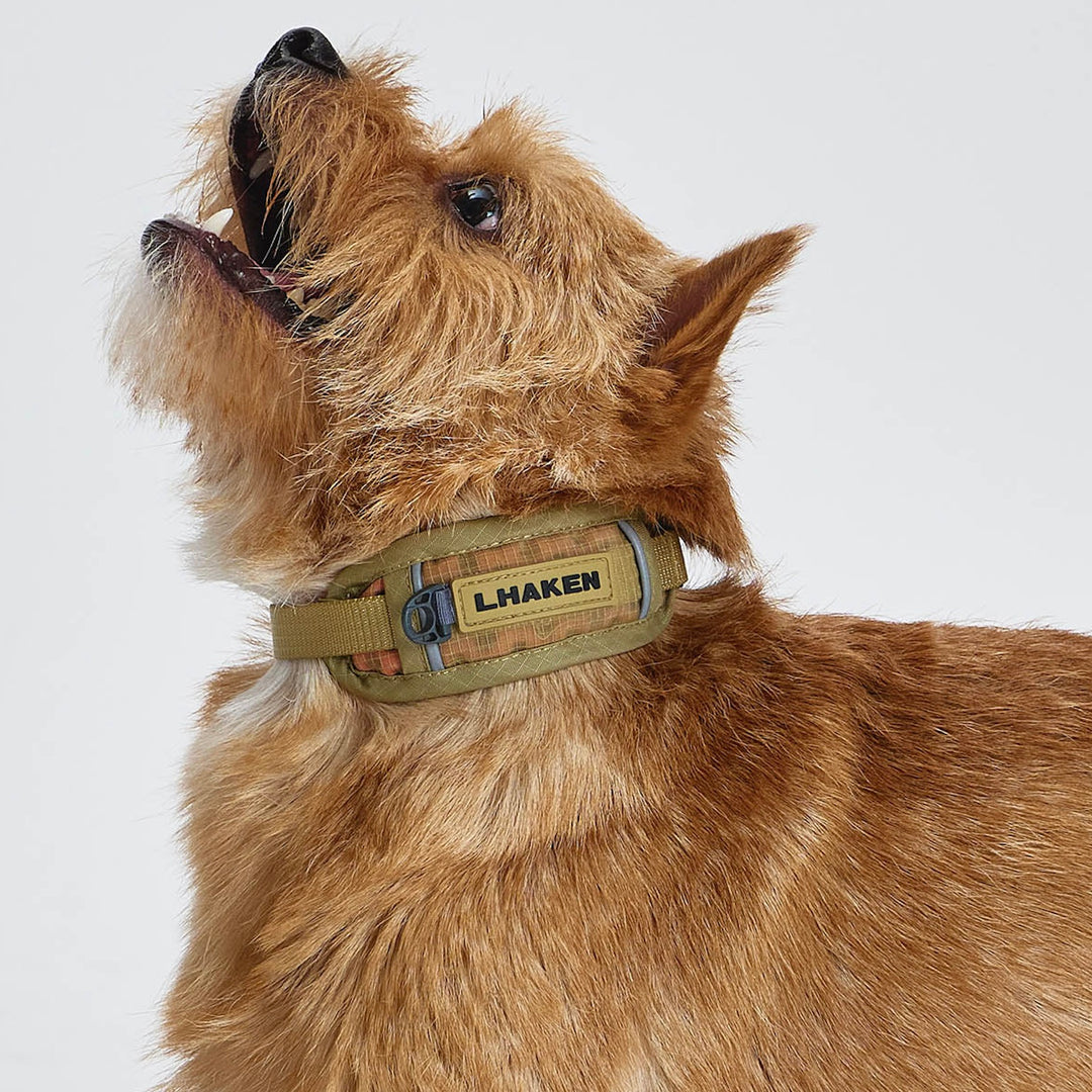 ※予約販売【munikund】TREKTAIL Collar - Beige
