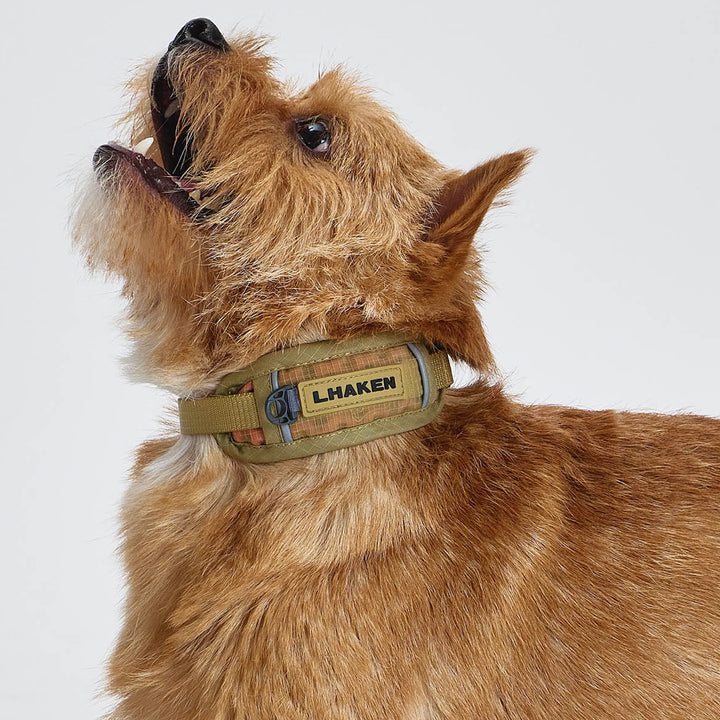 ※予約販売【munikund】TREKTAIL Collar - Beige
