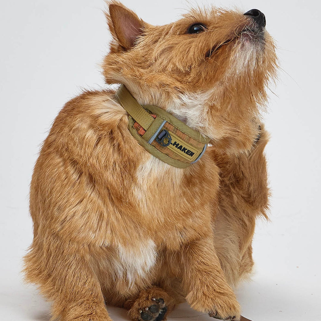 ※予約販売【munikund】TREKTAIL Collar - Beige