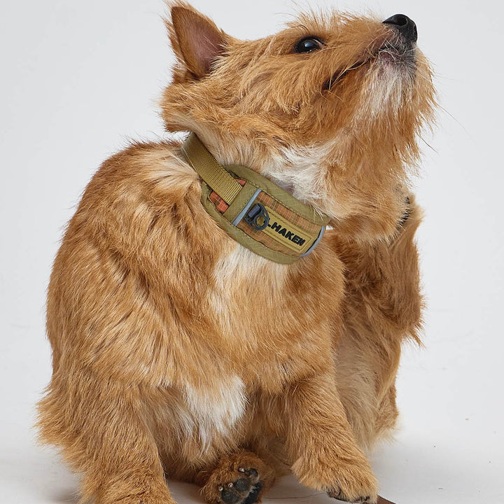 ※予約販売【munikund】TREKTAIL Collar - Beige