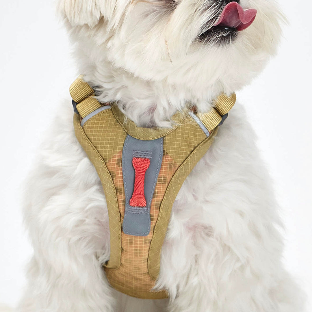 ※予約販売【munikund】TREKTAIL Harness - Beige ｜犬用ハーネス