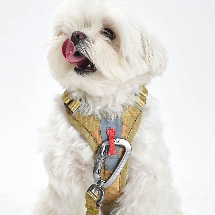 ※予約販売【munikund】TREKTAIL Harness - Beige ｜犬用ハーネス
