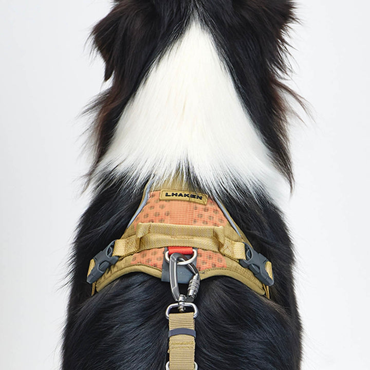 ※予約販売【munikund】TREKTAIL Harness - Beige ｜犬用ハーネス