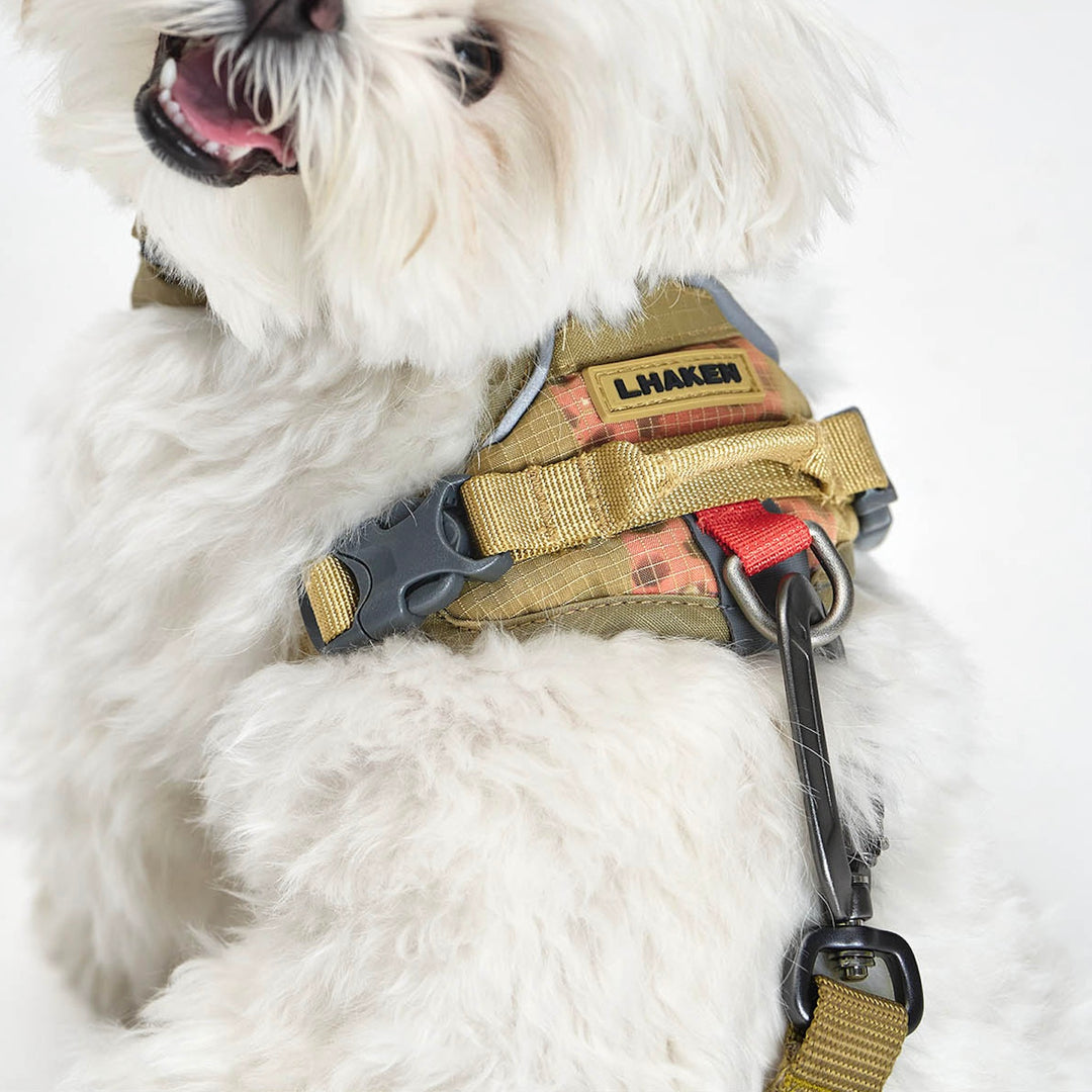 ※予約販売【munikund】REKTAIL Leash - Beige（20mm/1.8M）