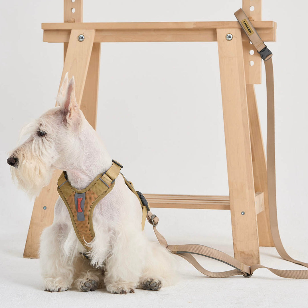 ※予約販売【munikund】REKTAIL Leash - Beige（20mm/1.8M）