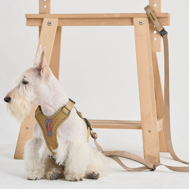※予約販売【munikund】REKTAIL Leash Hyper - Beige（25mm/1.8M）