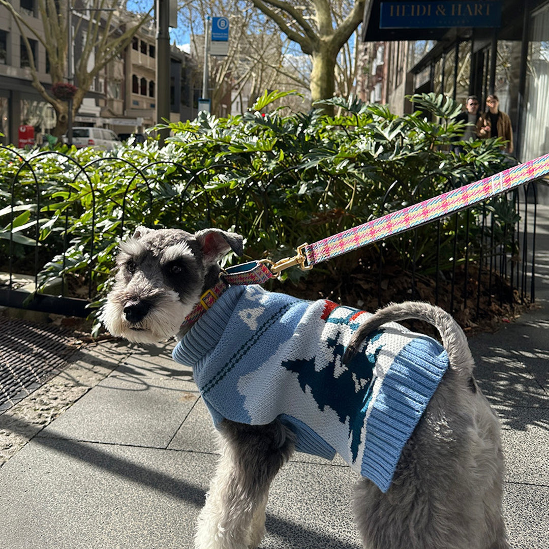 即納【iCANDOR】ASPEN WOOLIES（ASPEN）