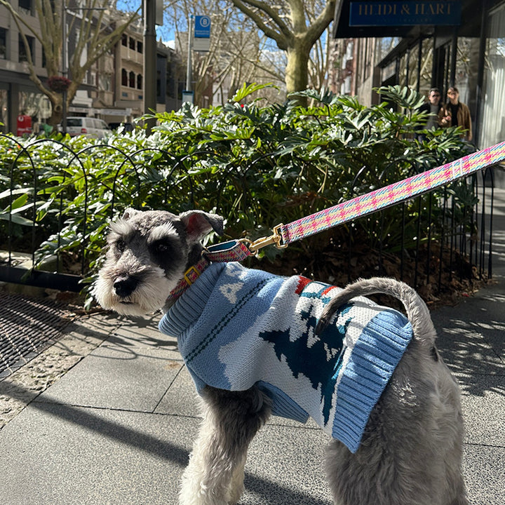 即納【iCANDOR】ASPEN WOOLIES（ASPEN）