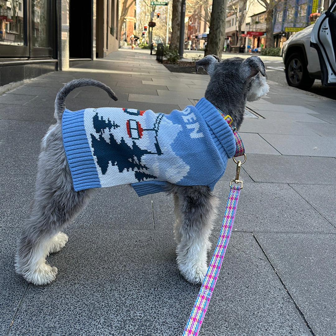 即納【iCANDOR】ASPEN WOOLIES（ASPEN）