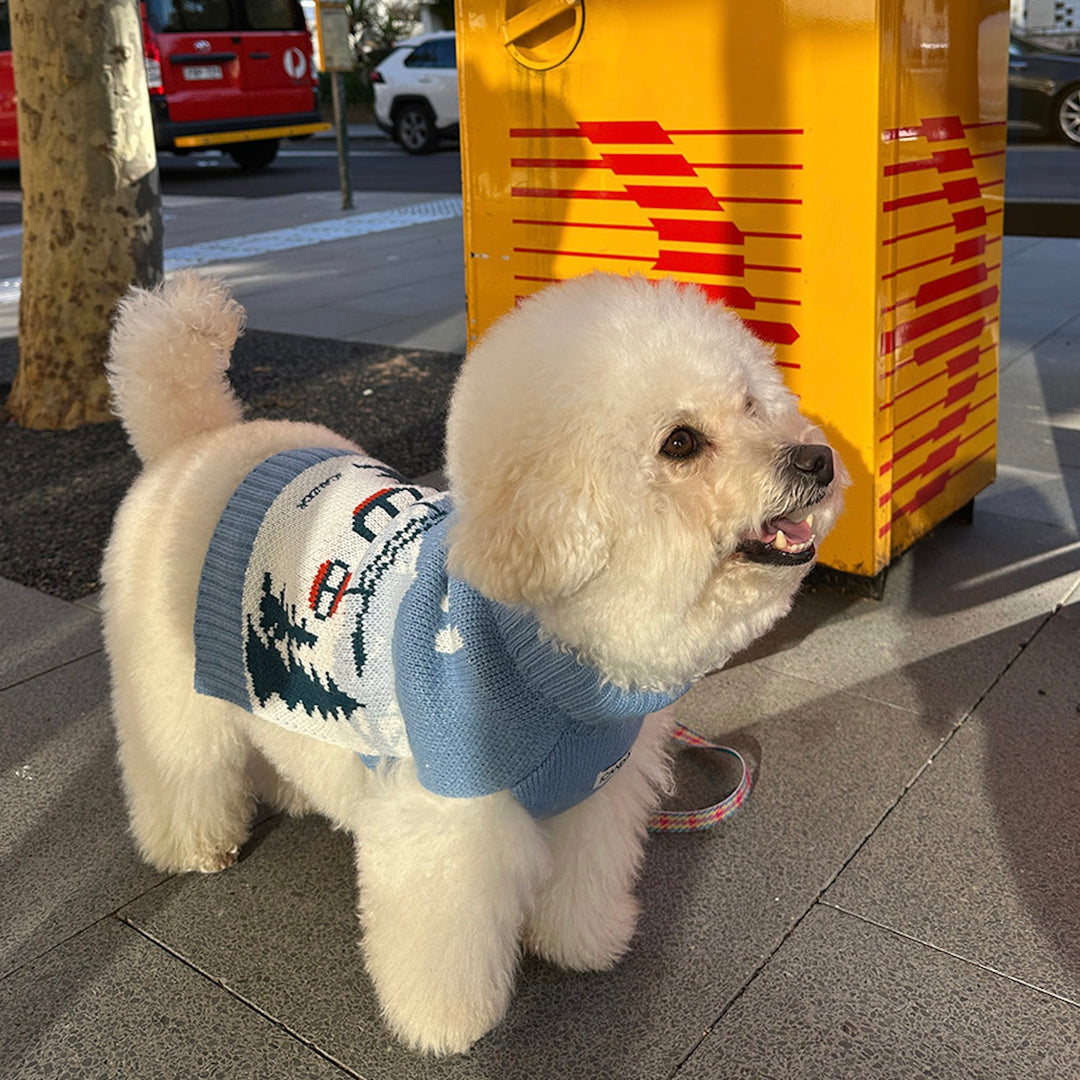 即納【iCANDOR】ASPEN WOOLIES（ASPEN）