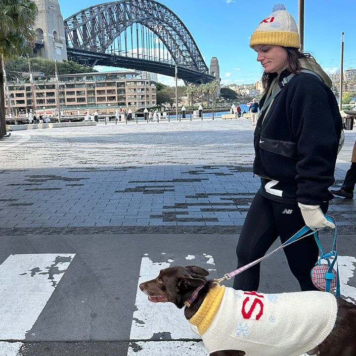 ※予約販売【iCANDOR】ASPEN WOOLIES BEANIES