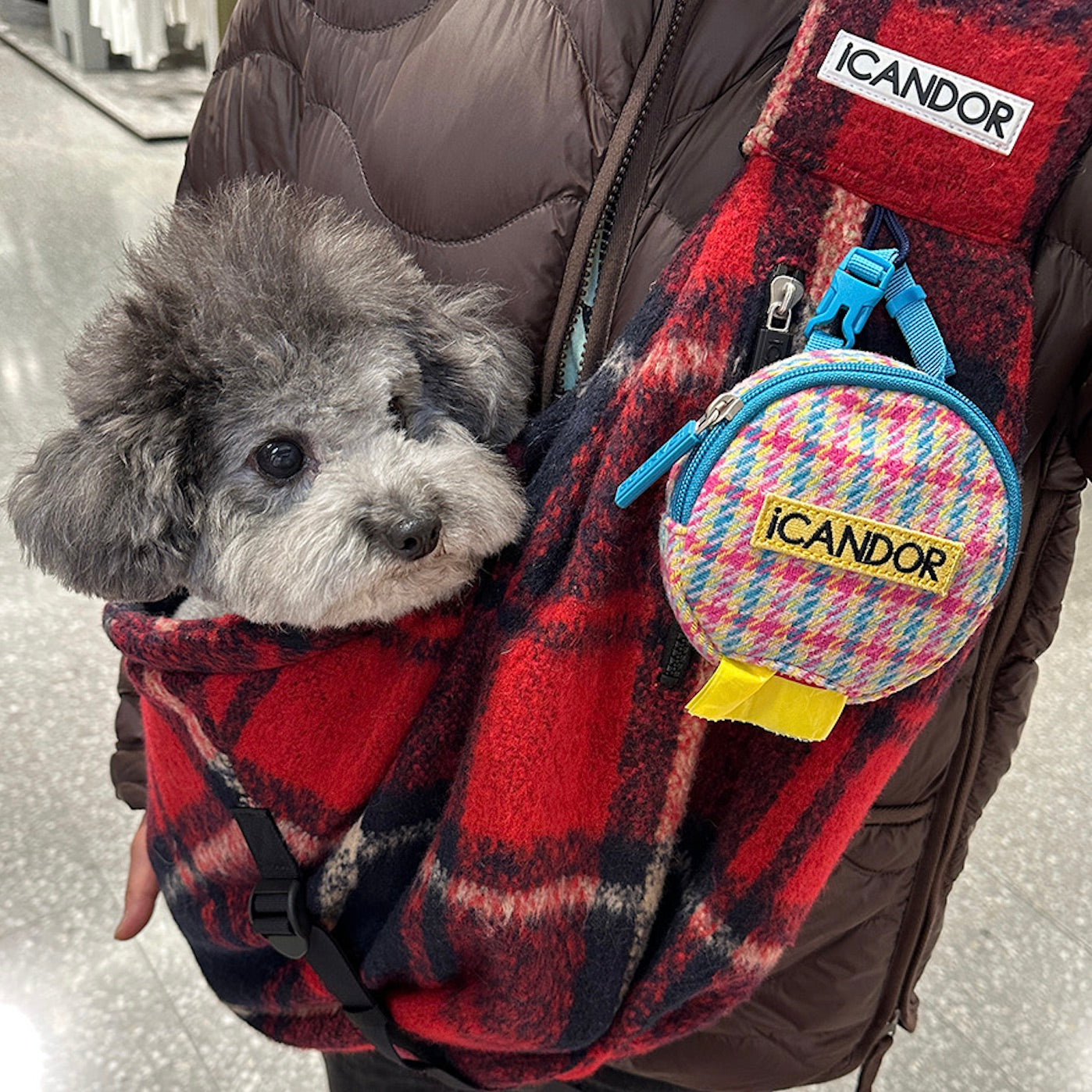 海外犬服 高品質なインポートのドッグウェア通販 