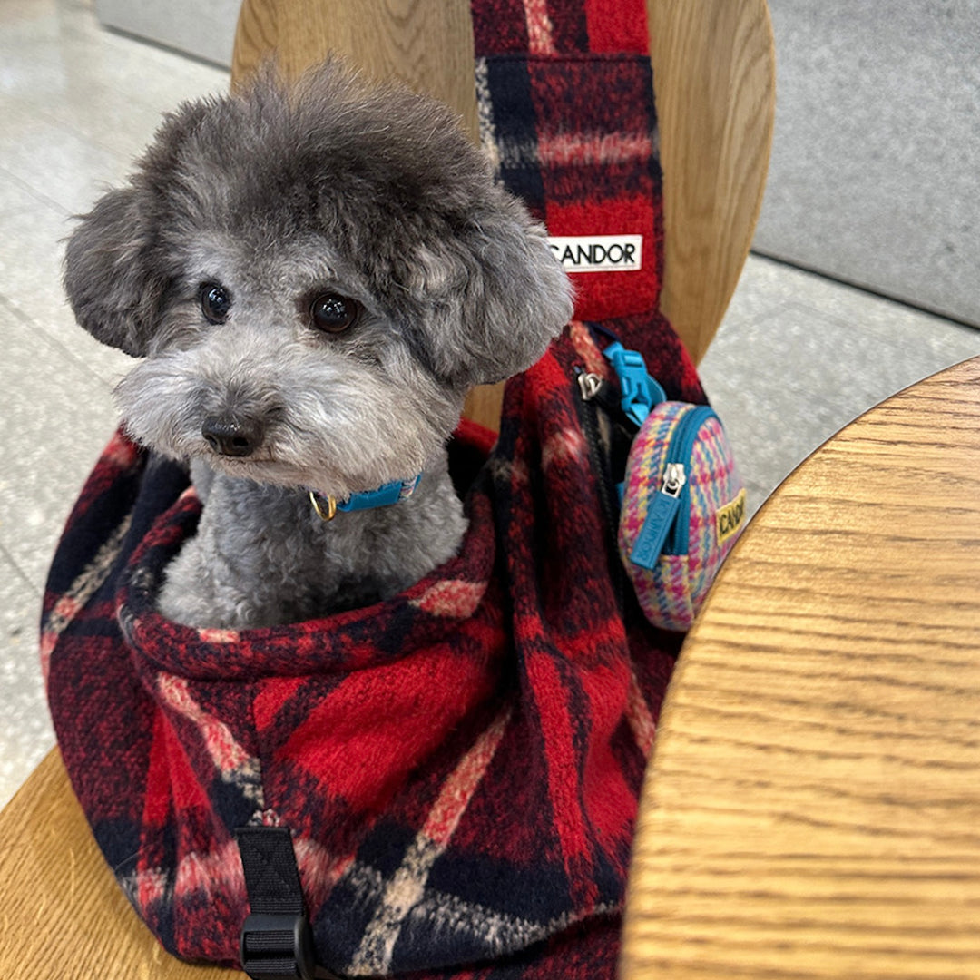 即納【iCANDOR】DUMPLING BAG（EDINBURGH CHECK）