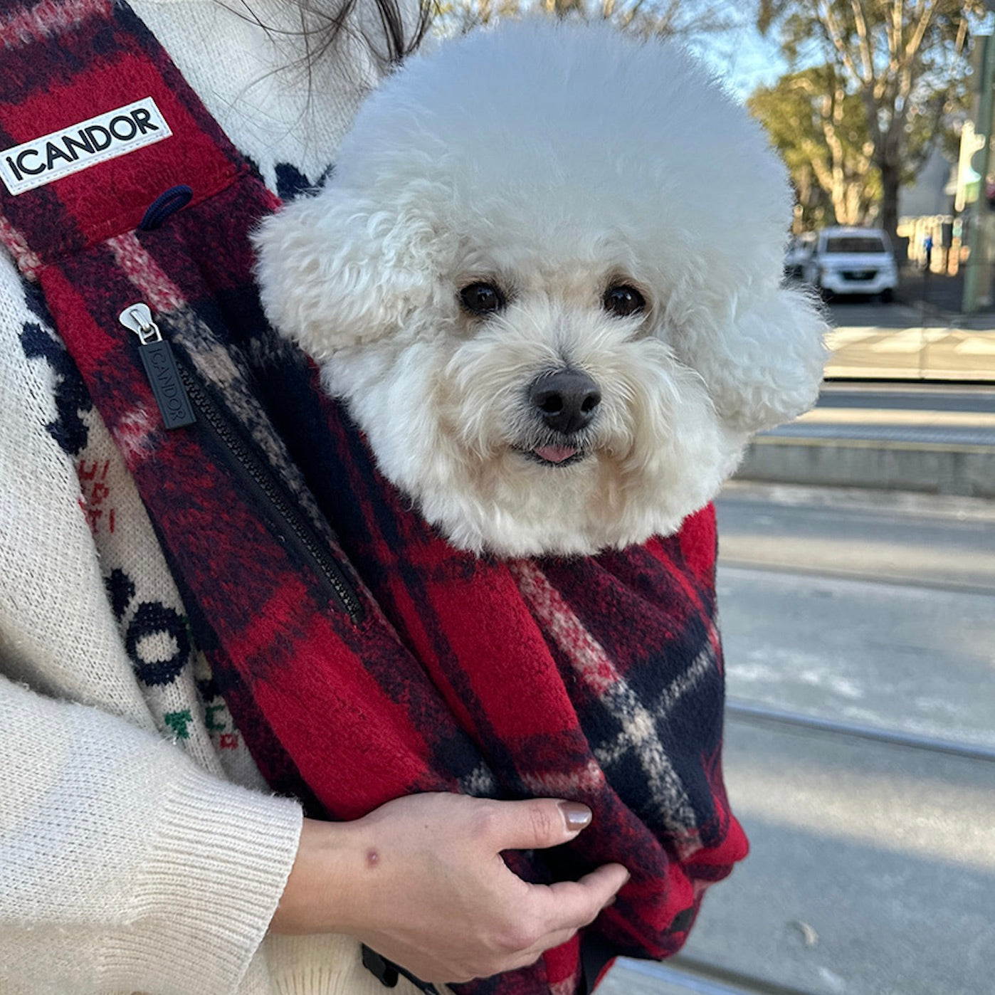 海外犬服 高品質なインポートのドッグウェア通販 