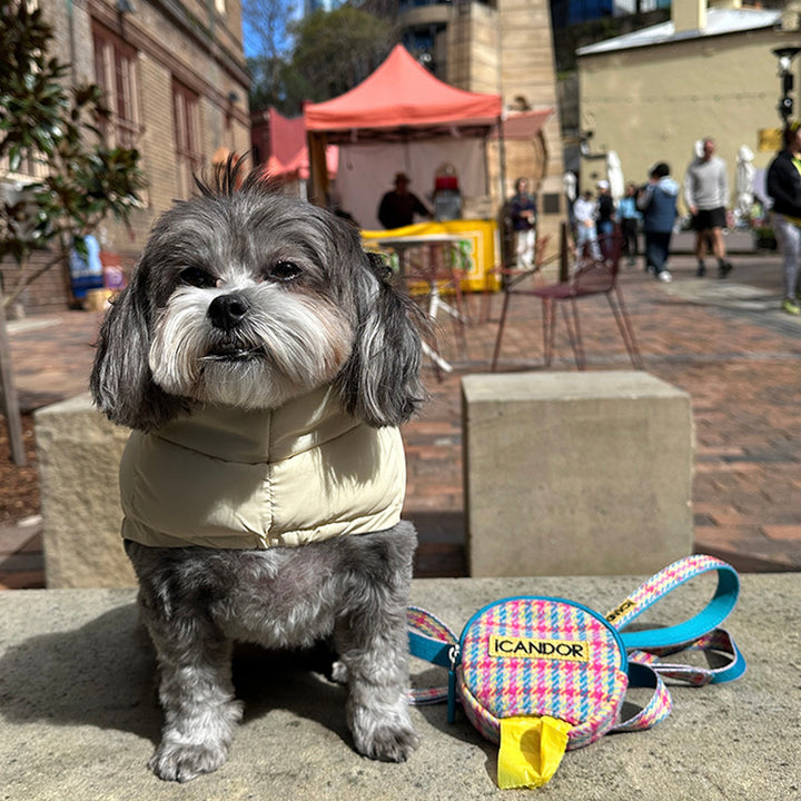 即納【iCANDOR】DINGLE-DANGLE BAG（EDINBURGH CHECK）