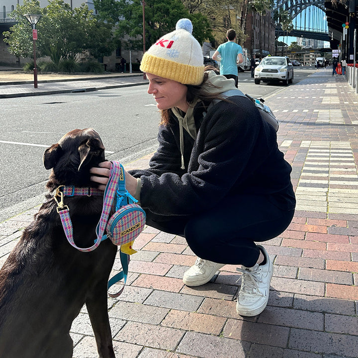 即納【iCANDOR】DINGLE-DANGLE BAG（EDINBURGH CHECK）