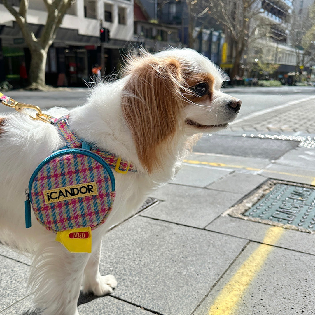 即納【iCANDOR】DINGLE-DANGLE BAG（EDINBURGH CHECK）