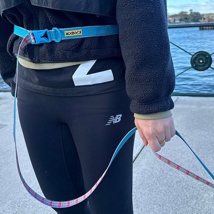 即納【iCANDOR】Gentle Collar Dual（EDINBURGH CHECK）L