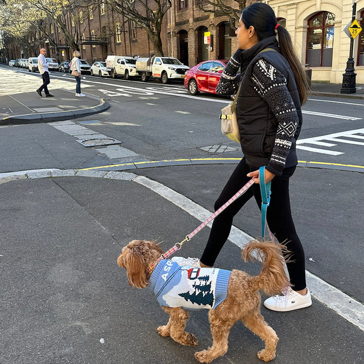 即納【iCANDOR】Gentle Collar Dual（EDINBURGH CHECK）S/M