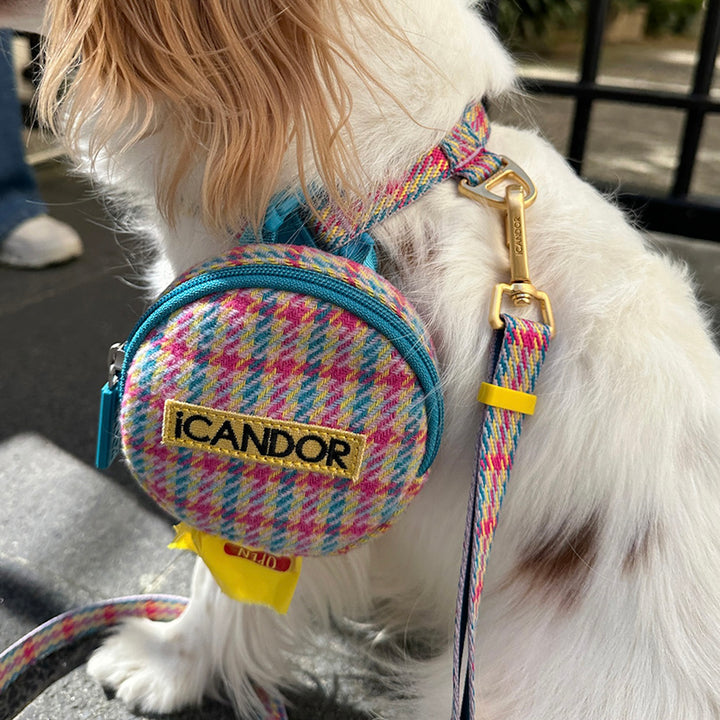 即納【iCANDOR】Gentle Collar Dual（EDINBURGH CHECK）L