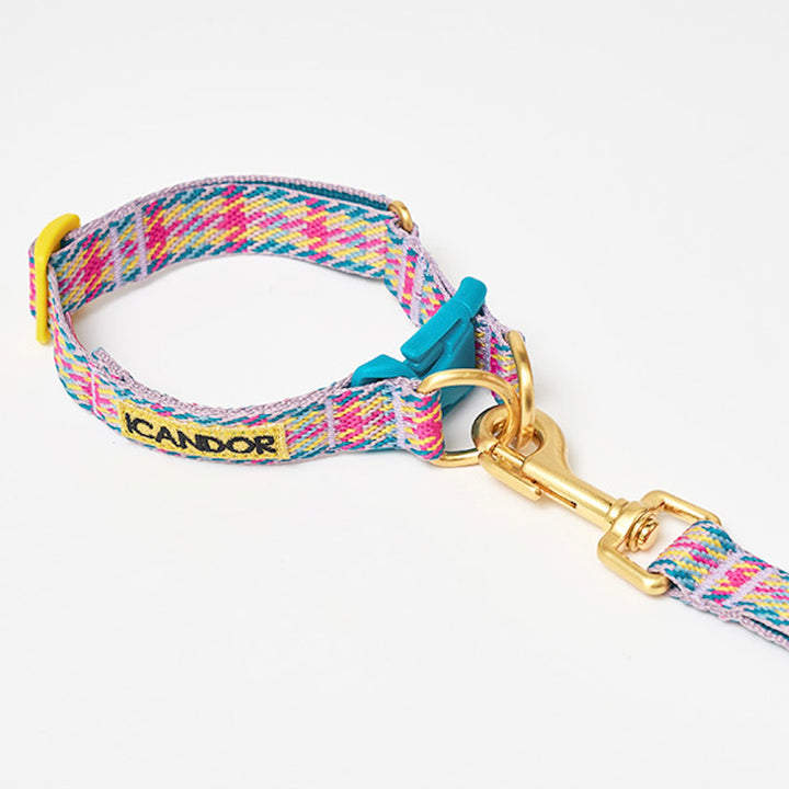 即納【iCANDOR】Gentle Collar Dual（EDINBURGH CHECK）L