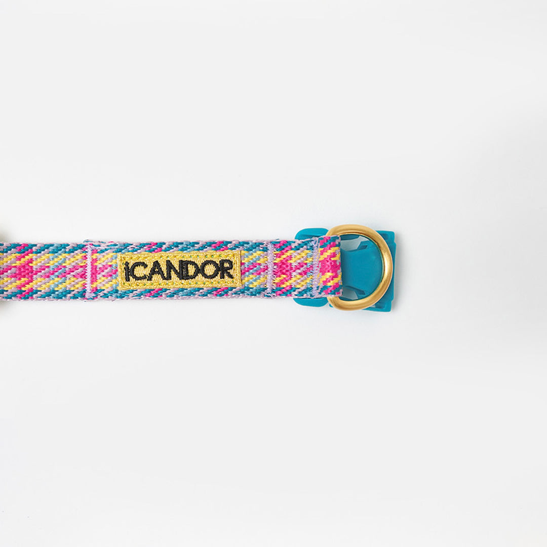 即納【iCANDOR】Gentle Collar Dual（EDINBURGH CHECK）S/M