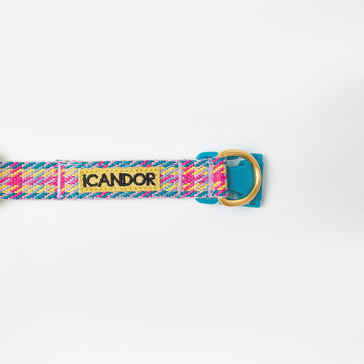 即納【iCANDOR】Gentle Collar Dual（EDINBURGH CHECK）S/M