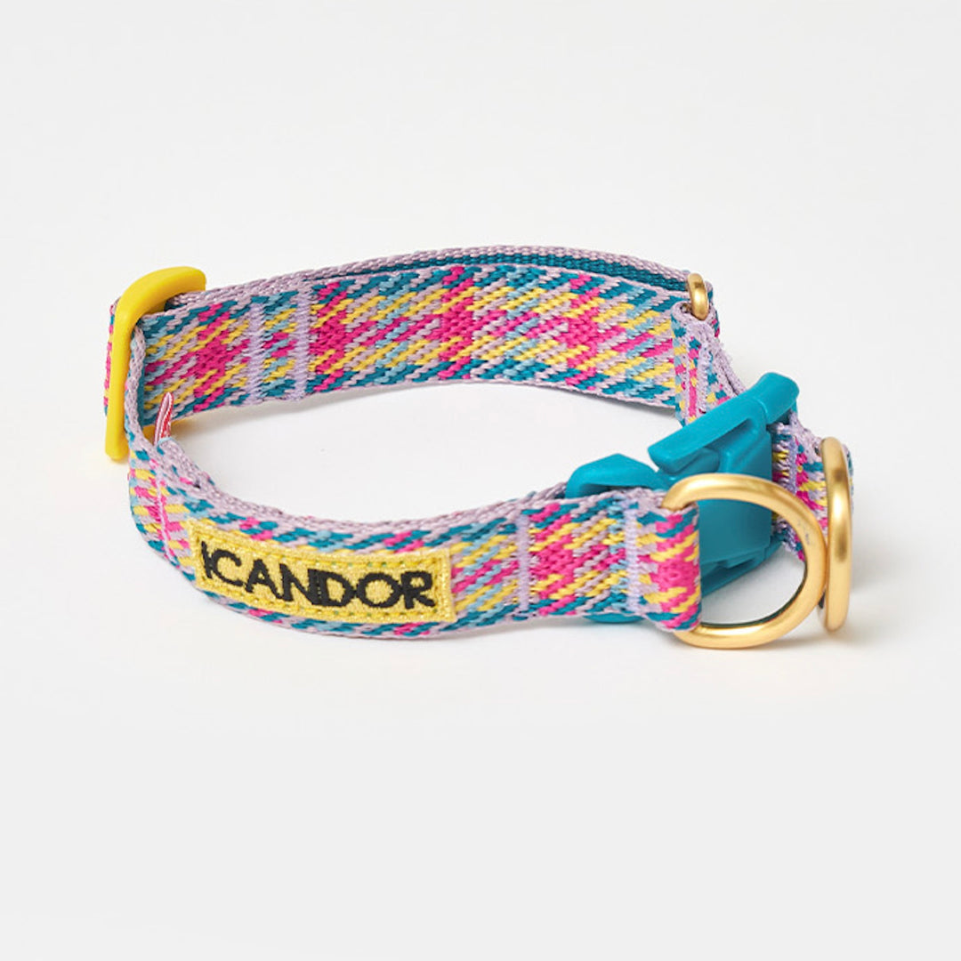即納【iCANDOR】Gentle Collar Dual（EDINBURGH CHECK）L
