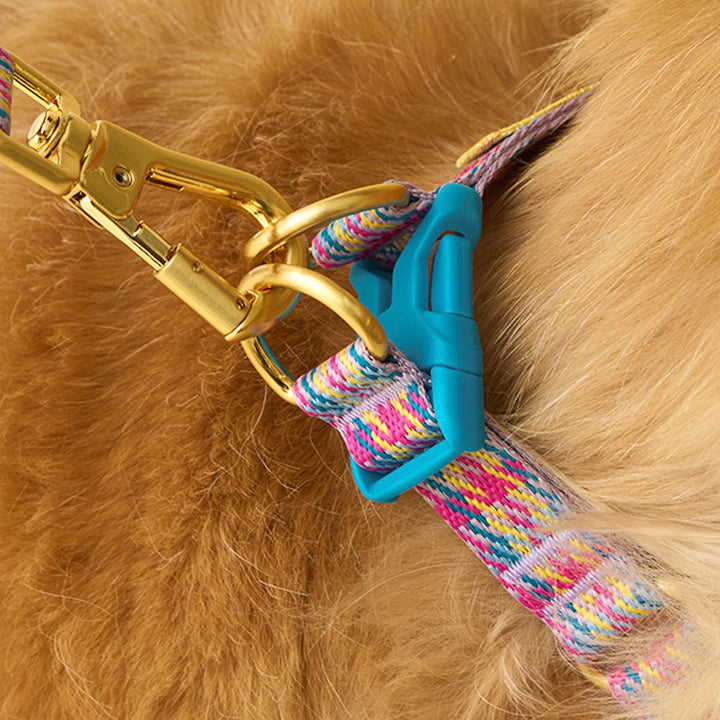 即納【iCANDOR】Gentle Collar Dual（EDINBURGH CHECK）S/M