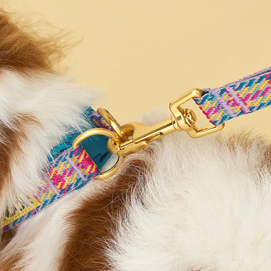 即納【iCANDOR】Gentle Collar Dual（EDINBURGH CHECK）L