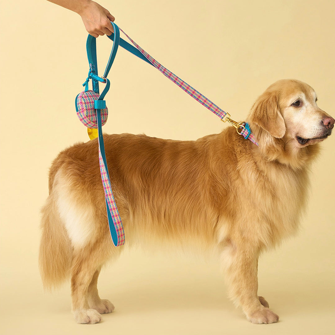 即納【iCANDOR】Gentle Collar Dual（EDINBURGH CHECK）S/M