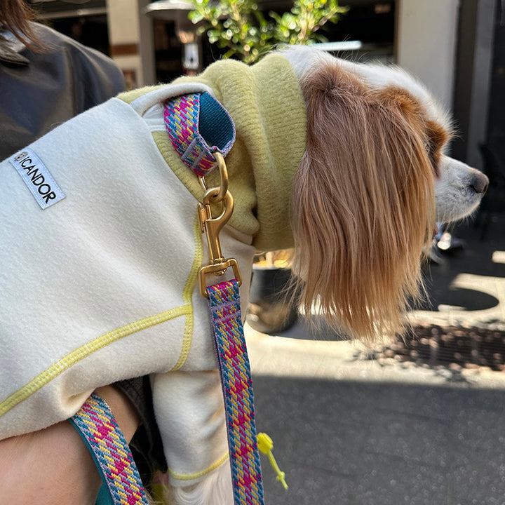 即納【iCANDOR】POLAR TWEED SNOOD TOP（CREAM）