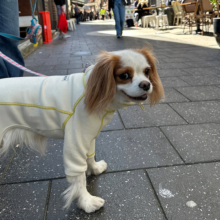 即納【iCANDOR】POLAR TWEED SNOOD SUIT（CREAM）