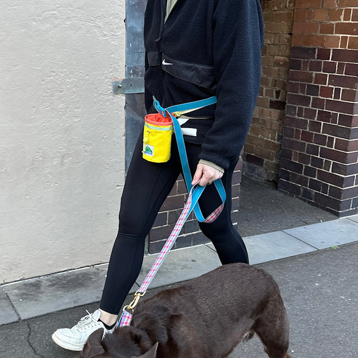 ※予約販売【iCANDOR】MUNCHIE MINDER（CORN YELLOW）