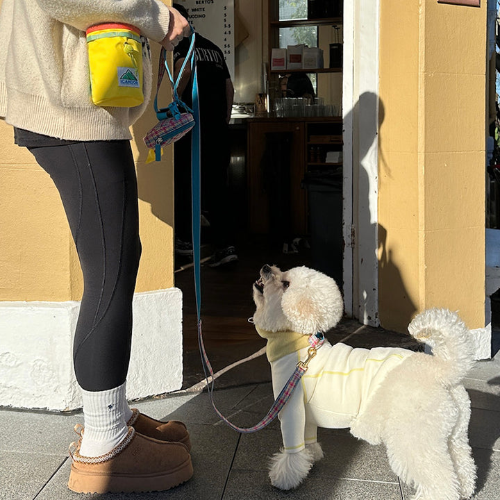 ※予約販売【iCANDOR】MUNCHIE MINDER（CORN YELLOW）