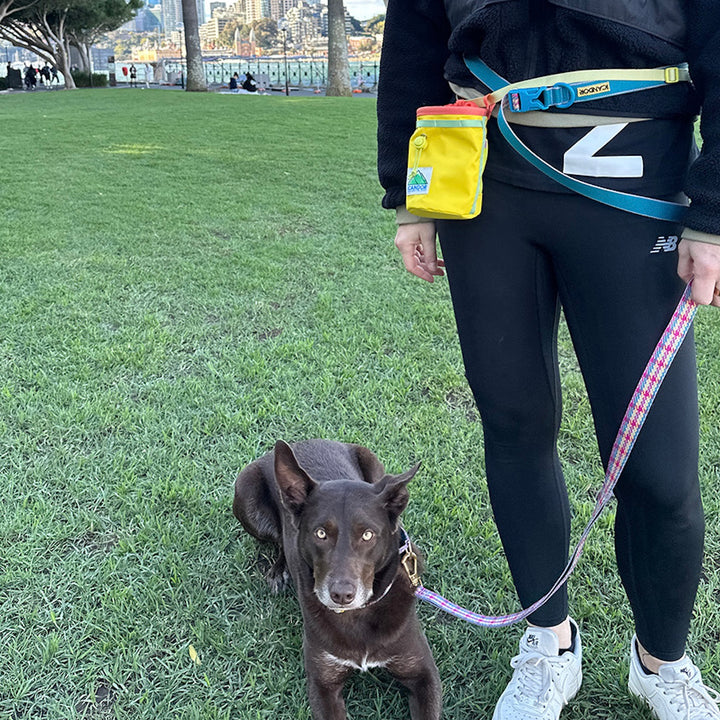 ※予約販売【iCANDOR】MUNCHIE MINDER（CORN YELLOW）