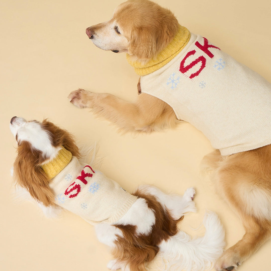 即納【iCANDOR】ASPEN WOOLIES（SKI）