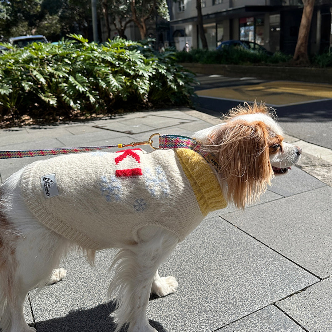 即納【iCANDOR】ASPEN WOOLIES（SKI）