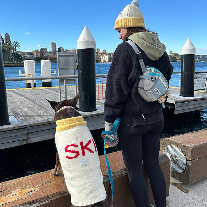 即納【iCANDOR】ASPEN WOOLIES（SKI）