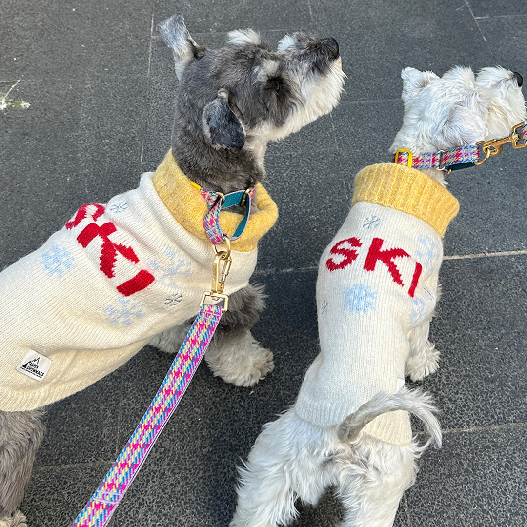 即納【iCANDOR】ASPEN WOOLIES（SKI）