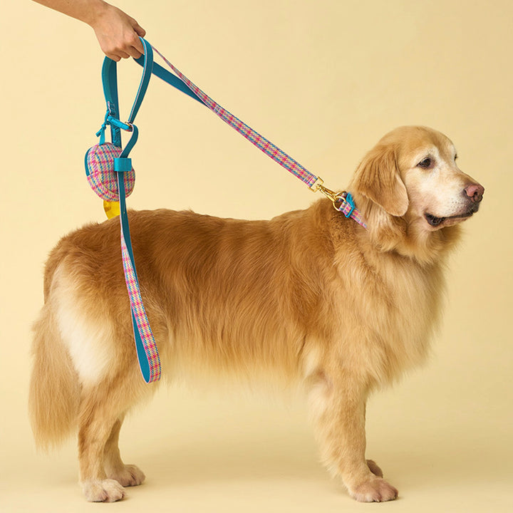 即納【iCANDOR】Gentle Leash Bolt（EDINBURGH CHECK）